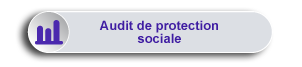 Maxirem Expert - Audit de protection sociale
